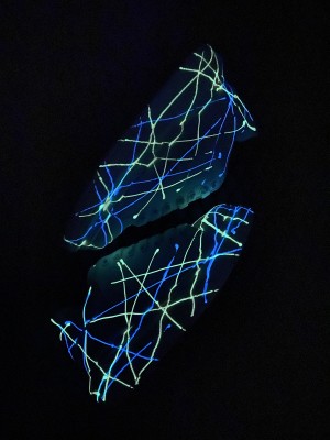 Alexandr Casual Sneakers ACS10000156