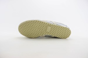 ASICS Shoes ASIC1000111