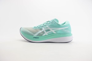 ASICS Shoes ASIC1000118