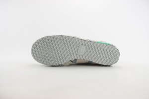 ASICS Shoes ASIC1000119