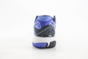  ASICS Shoes ASIC100016