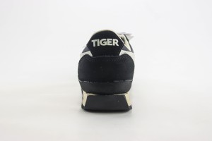 ASICS Shoes ASIC100040