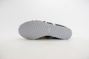 ASICS Shoes ASIC100091