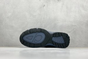 Dior B30 Sneaker DB30S100013