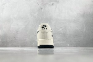 Dior Air Force Shoes DAFS100001