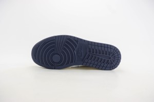 Dior Air Jordan 1 Shoes DAJIS1000013