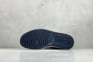 Dior Air Jordan 1 Shoes DAJIS100005