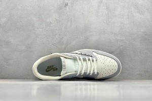 Dior Air Jordan 1 Shoes DAJIS100005