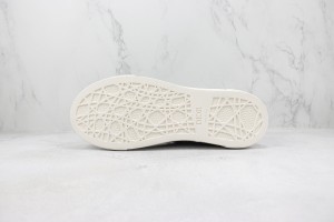 Dior Oblique Shoes DOBS100010