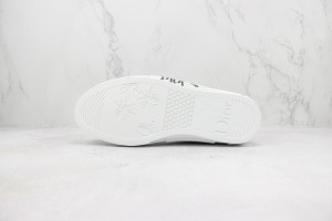 Dior Oblique Shoes DOBS100013