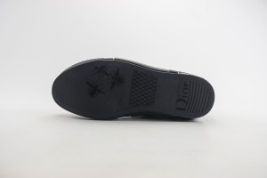 Dior Oblique Shoes DOBS100021