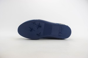 Dior Oblique Shoes DOBS100025