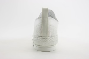 Dior Oblique Shoes DOBS100026