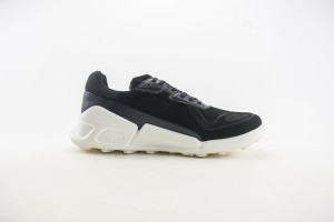 ECCO Waterproof Shoes EWS1000085