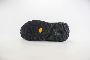 Hoka Kaha Low GTX Shoe HKLGS10001