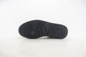 Air Jordan 1 Low Back AJLB1000166