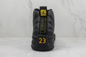Air Jordan 12 AJ120005