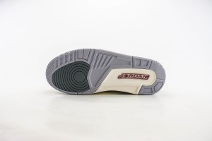 Air Jordan 3 AJ30001