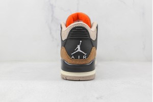 Air Jordan 3 AJ3000111