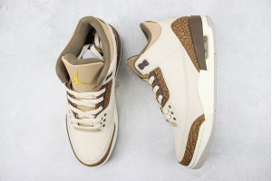 Air Jordan 3 AJ300048