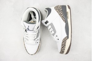 Air Jordan 3 AJ300066