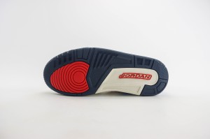 Air Jordan 312 AJ31200032