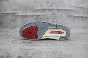 Air Jordan 312 AJ31200055