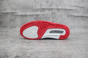 Air Jordan 312 AJ31200061