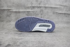 Air Jordan 312 AJ31200068