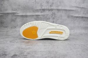 Air Jordan 312 AJ31200069