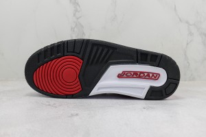 Air Jordan 312 AJ31200096