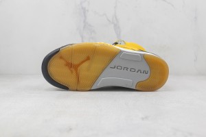 Air Jordan 5 AJ500047