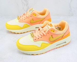 Nike Air max 1 NAM100029