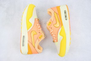Nike Air max 1 NAM100029
