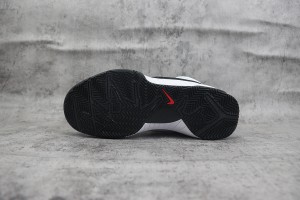 Nike Kobe Sneaker NKS100031