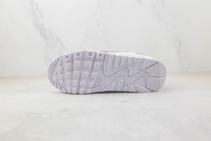 Nike Air Max 90 Sneaker AM9000021