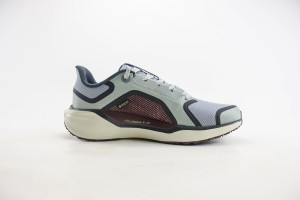  NikeK Air Zoom Pegasus 41 NAZP100010