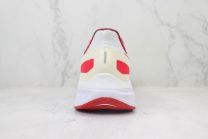 NikeK Air Zoom Pegasus 41 NAZP1000109