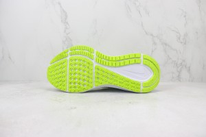 NikeK Air Zoom Pegasus 41 NAZP1000111