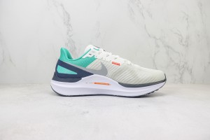 NikeK Air Zoom Pegasus 41 NAZP1000117