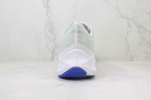 NikeK Air Zoom Pegasus 41 NAZP1000118