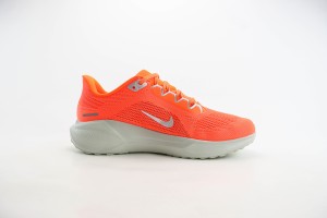 NikeK Air Zoom Pegasus 41 NAZP100013