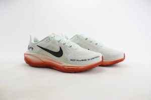 NikeK Air Zoom Pegasus 41 NAZP100019