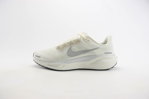 NikeK Air Zoom Pegasus 41 NAZP100021