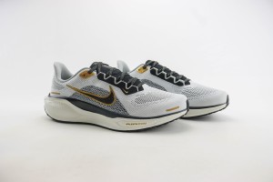 NikeK Air Zoom Pegasus 41 NAZP100023
