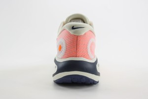 NikeK Air Zoom Pegasus 41 NAZP100029