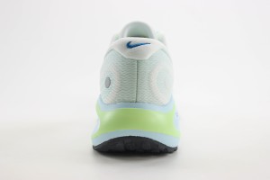 NikeK Air Zoom Pegasus 41 NAZP100030