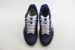 NikeK Air Zoom Pegasus 41 NAZP100033