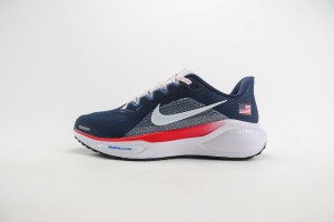 NikeK Air Zoom Pegasus 41 NAZP100033