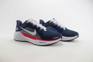 NikeK Air Zoom Pegasus 41 NAZP100033
